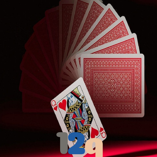 12q：Aposte nas melhores slots e conquiste prêmios como nunca!